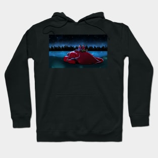 Stargazing Hoodie